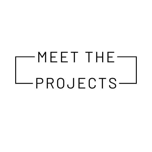 Meet the Projects Logo